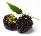 Spirituosen-Aroma Brombeerenaroma